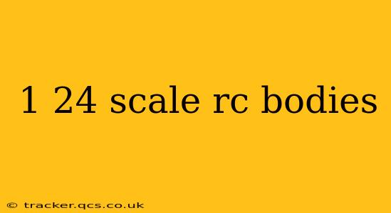 1 24 scale rc bodies
