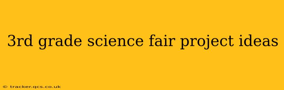 3rd grade science fair project ideas