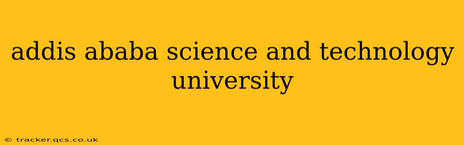 addis ababa science and technology university