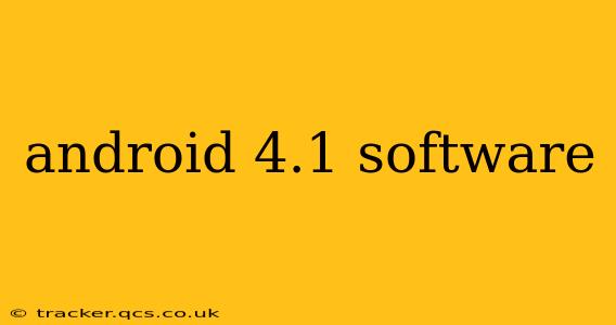 android 4.1 software