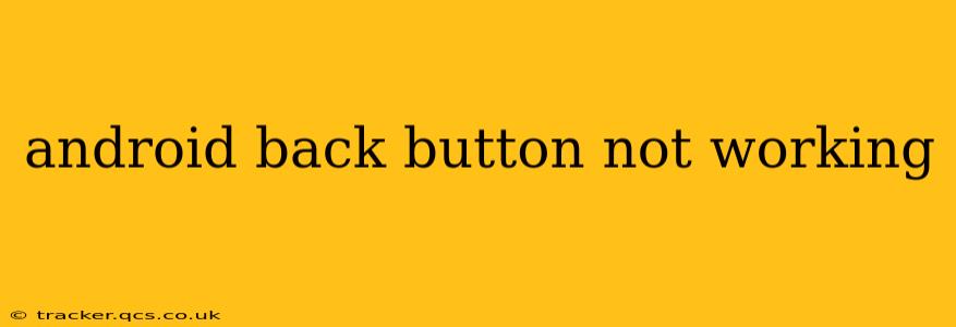 android back button not working