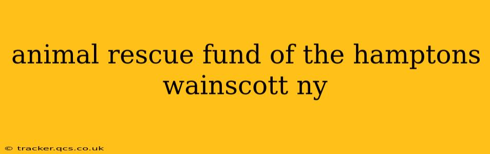 animal rescue fund of the hamptons wainscott ny