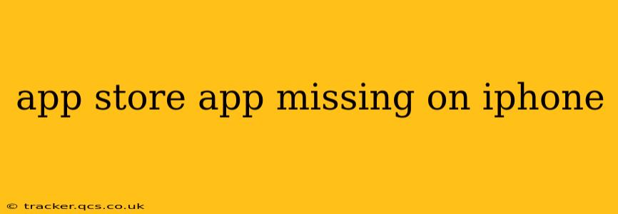 app store app missing on iphone