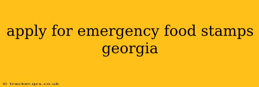 apply for emergency food stamps georgia