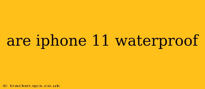 are iphone 11 waterproof