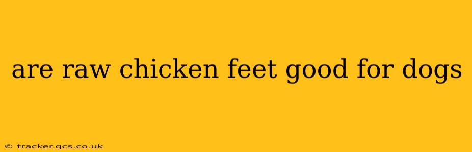 are raw chicken feet good for dogs