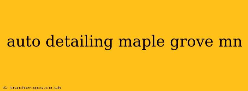 auto detailing maple grove mn