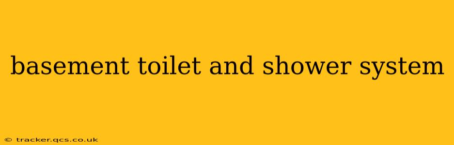 basement toilet and shower system