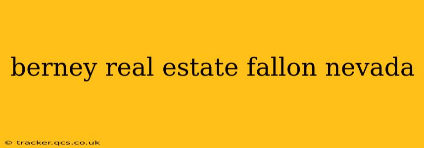 berney real estate fallon nevada