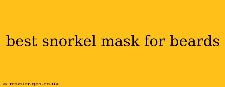 best snorkel mask for beards