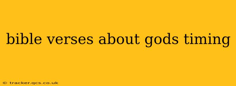 bible verses about gods timing