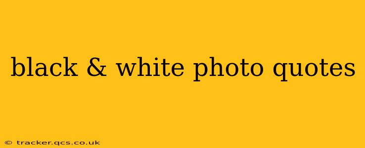 black & white photo quotes
