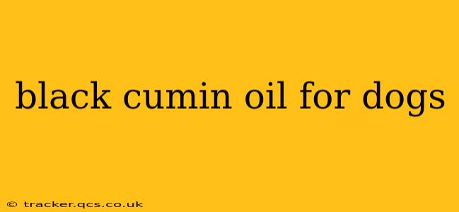 black cumin oil for dogs