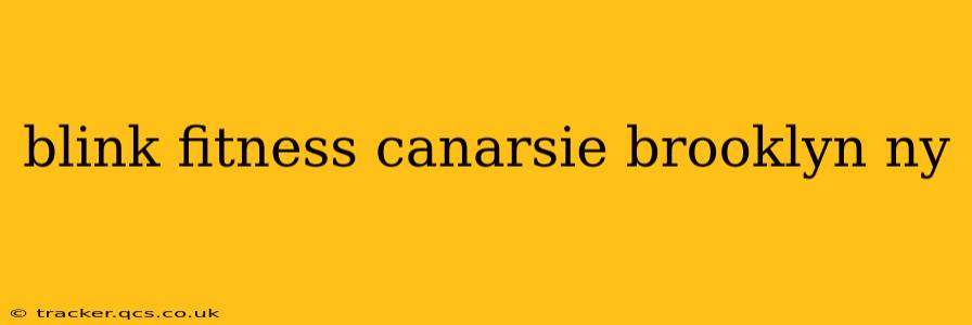 blink fitness canarsie brooklyn ny