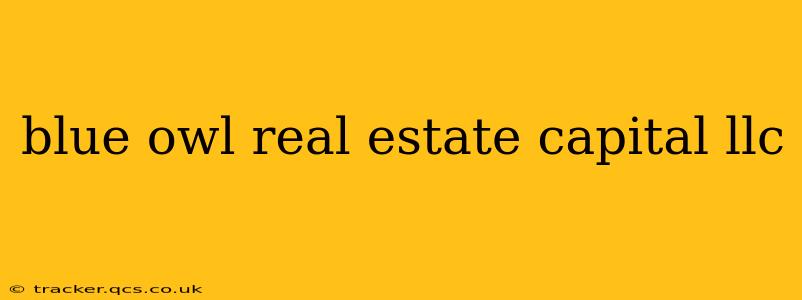 blue owl real estate capital llc