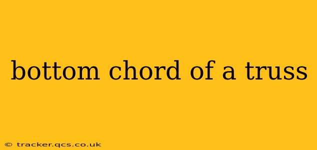 bottom chord of a truss