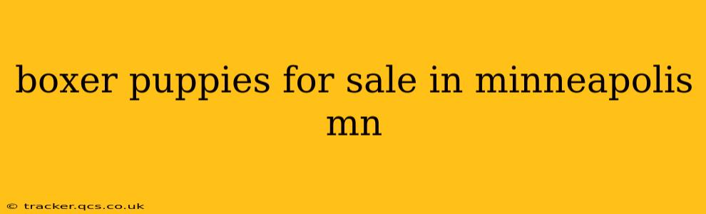boxer puppies for sale in minneapolis mn