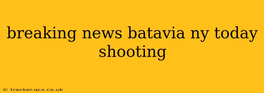 breaking news batavia ny today shooting