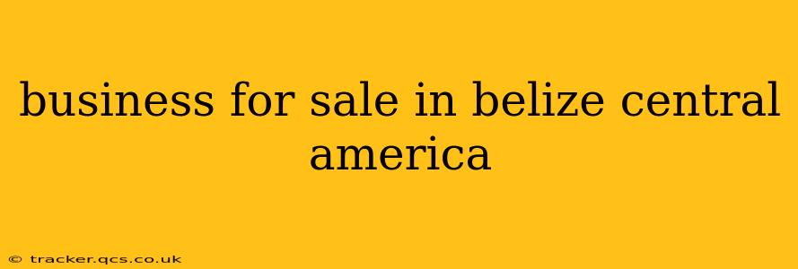 business for sale in belize central america