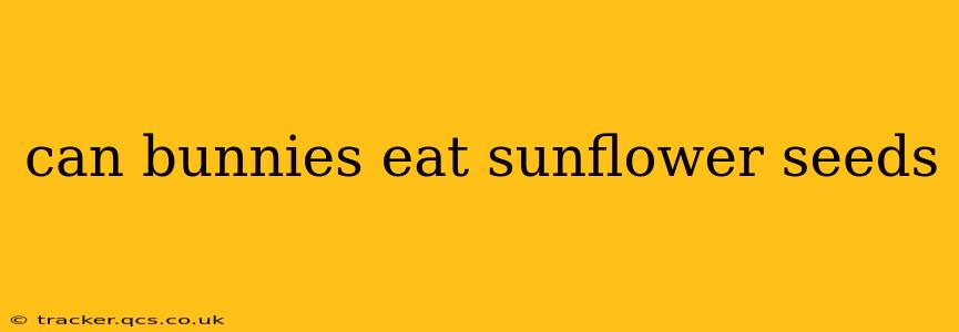 can bunnies eat sunflower seeds