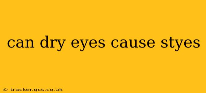 can dry eyes cause styes