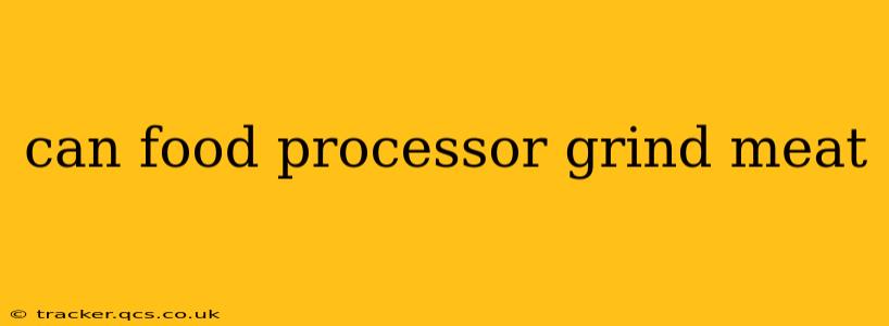can food processor grind meat