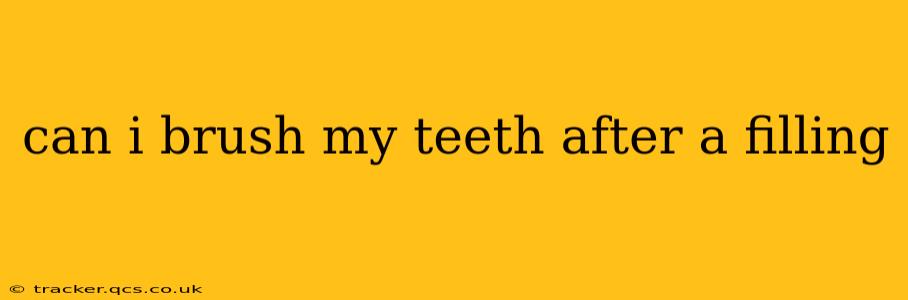 can i brush my teeth after a filling