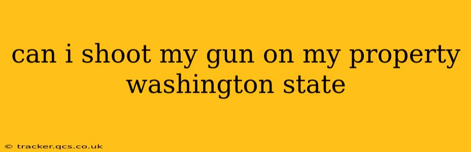 can i shoot my gun on my property washington state