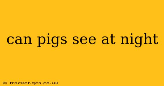 can pigs see at night