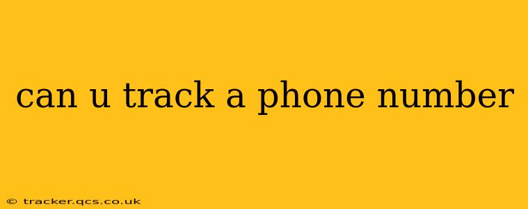 can u track a phone number