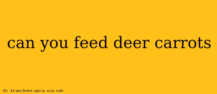 can you feed deer carrots