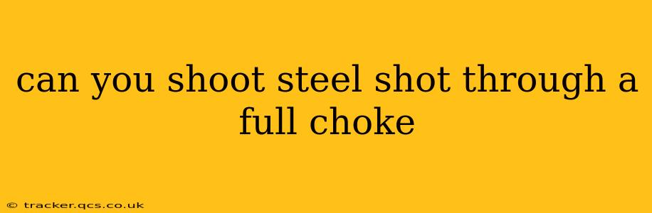 can you shoot steel shot through a full choke