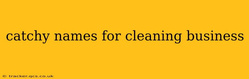 catchy names for cleaning business