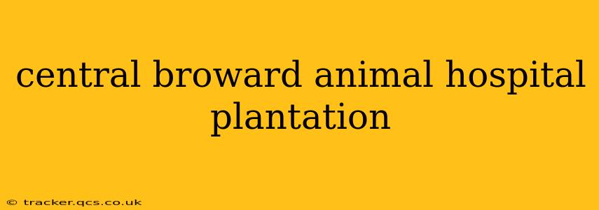central broward animal hospital plantation