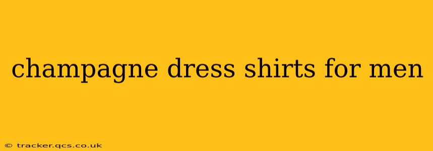 champagne dress shirts for men