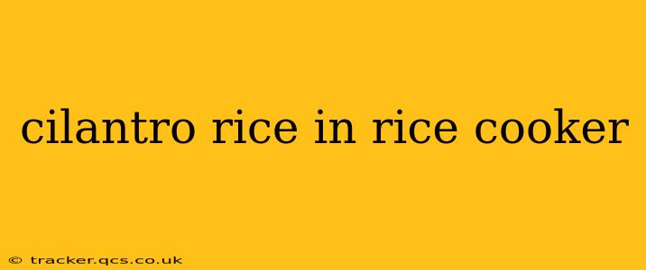 cilantro rice in rice cooker