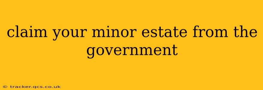 claim your minor estate from the government