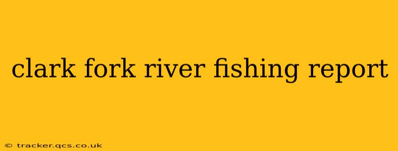 clark fork river fishing report