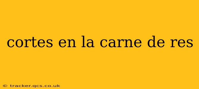 cortes en la carne de res