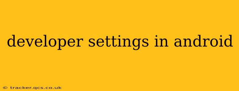 developer settings in android