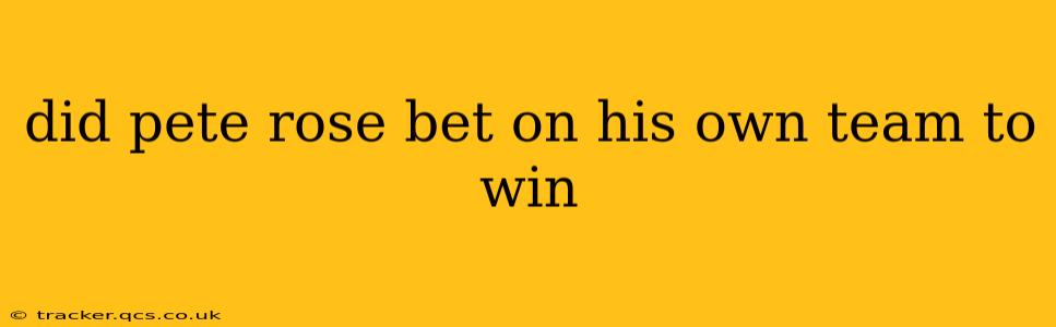 did pete rose bet on his own team to win
