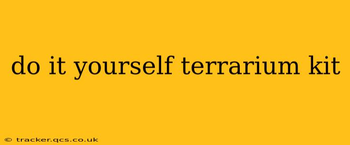 do it yourself terrarium kit