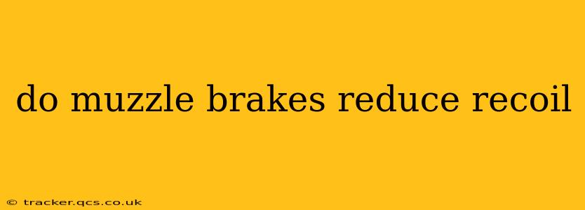 do muzzle brakes reduce recoil
