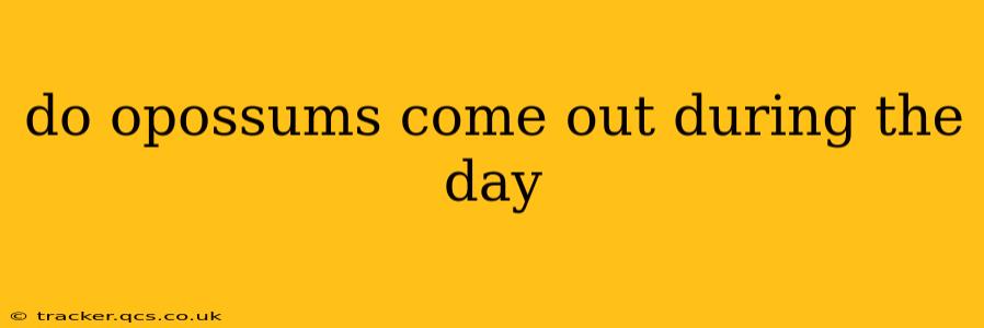 do opossums come out during the day