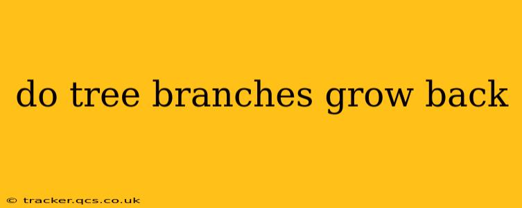 do tree branches grow back