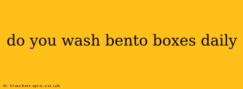 do you wash bento boxes daily