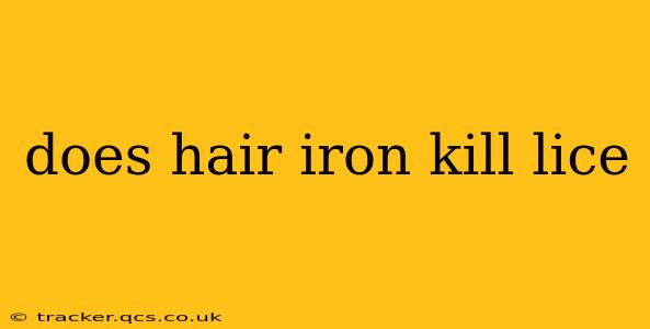 does hair iron kill lice