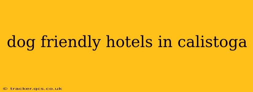 dog friendly hotels in calistoga