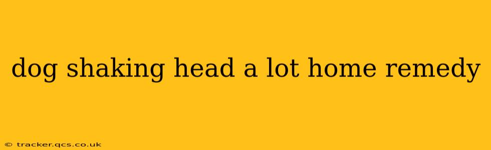 dog shaking head a lot home remedy