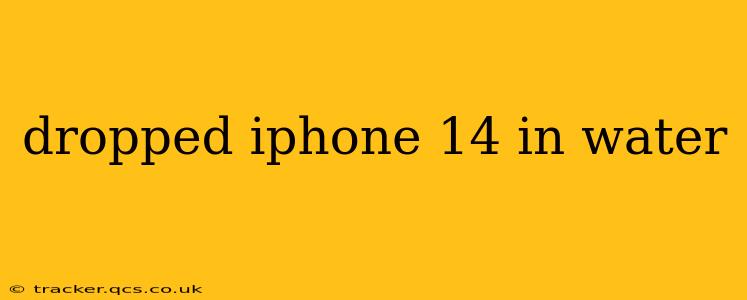 dropped iphone 14 in water